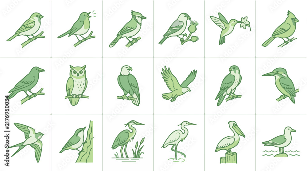 Fototapeta premium Set of wild bird line art icons, hand drawn green avian illustrations on white background. 