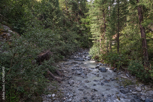 Mountain river in forest above Zermatt in Switzerland