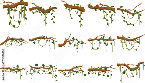 Jungle Vine Illustration

