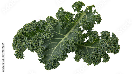Konstfotografi Fresh green curly kale leaf with textured ruffled edges
