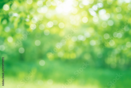 Blurred background image of spring nature. Green bokeh summer.