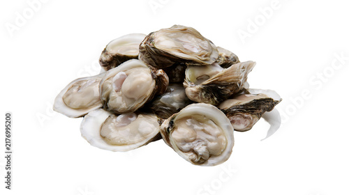 Canvas Print Fresh raw oysters in open shells piled together