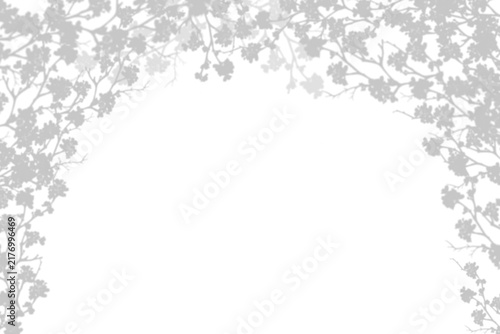 Leaf shadows,light overlay on white background,illustration isolated transparent of Silhouette leaves Cherry Blossom tree shadow on wall,Element design decoration for Spring,Summer Backdrop Background