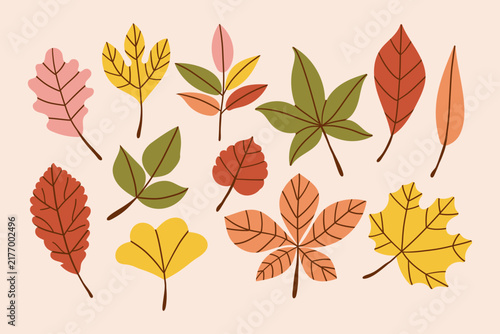 Cute Set of autumn leaves from different trees, oak, maple, chestnut, ash, birch. Simple yellow, red, orange fall leaf set for pattern, banner, sticker. Hello autumn card. Flat vector illustration.