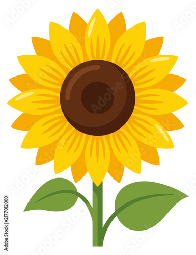 Bright yellow sunflower illustration with green leaves