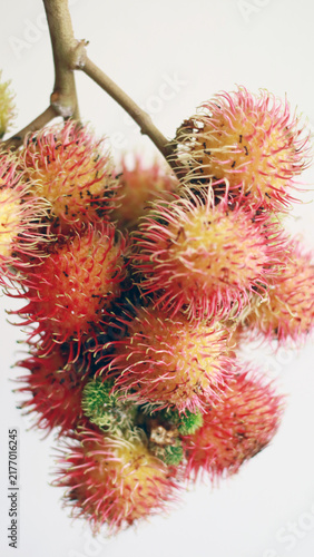 Rambutan fruit with stalk on white background.