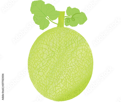 A ripe, yellowish-green melon with a textured rind, featuring leaves and a stem.