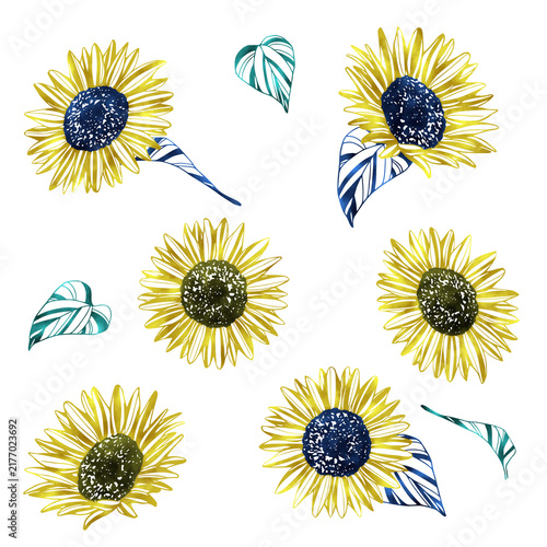 ひまわりのペン画イラストに水彩風の色付けをした素材のセット　挿絵や装飾用途に