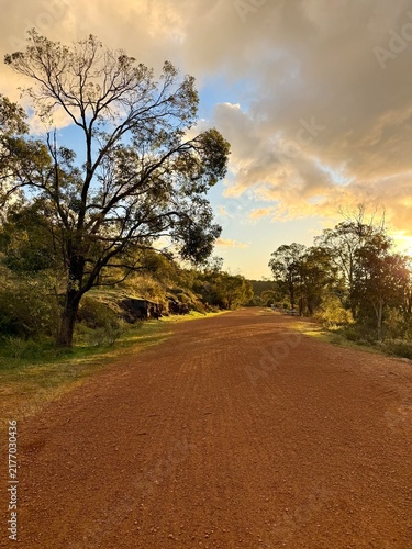 фотографія Wide red gravel road leading through Australian bushland beneath warm evening clouds and golden sunlight