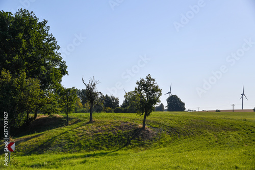 Foto Sanfte grüne Hügellandschaft mit einzelnen Bäumen, Wiese und weitem blauem Himmel