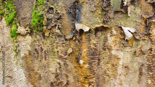 Natural Rocky Stone Surface with Green Moss and Weathered Texture. Natural mineral stains and water streaks on a rough stone