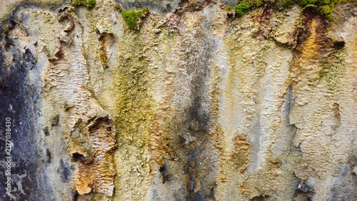 Natural Rocky Stone Surface with Green Moss and Weathered Texture. Natural mineral stains and water streaks on a rough stone