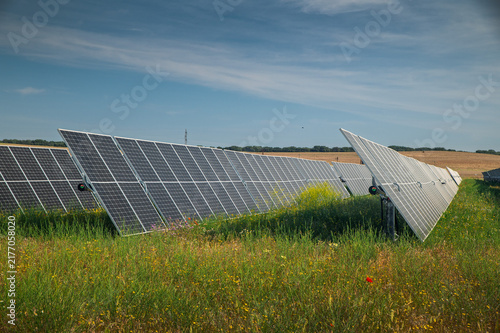 Solar Farm With Photovoltaic Panels in Wildflower Meadow Under Blue Sky for Renewable Energy