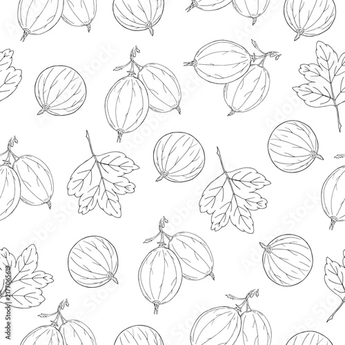 Seamless vector pattern of black line hand drawn gooseberries on white background. Design for natural products or jam packaging