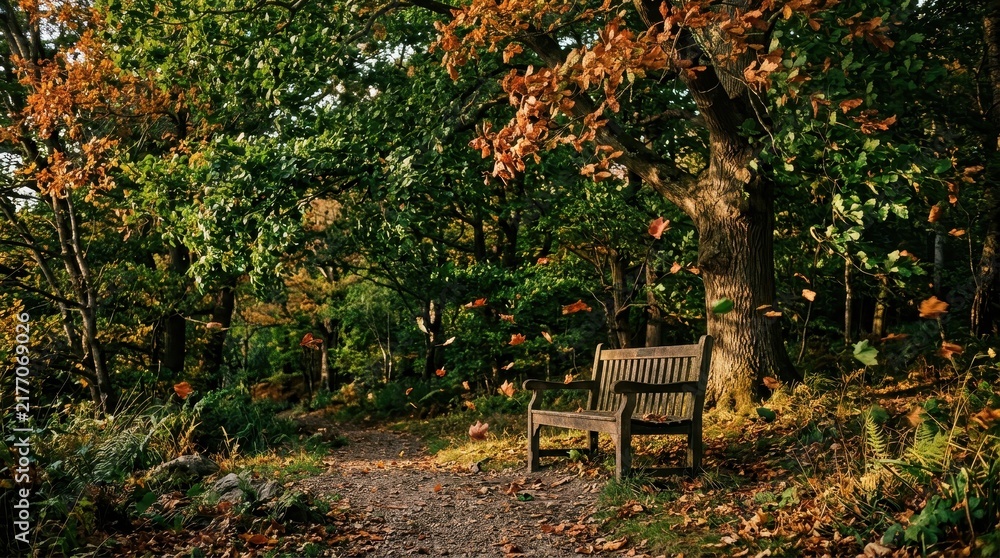 Fototapeta premium Park bench in an autumnal forest with falling leaves
