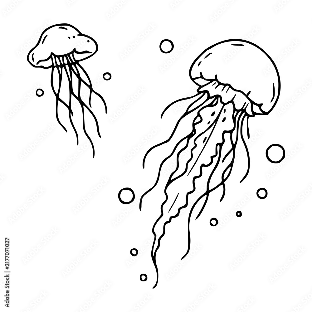 Fototapeta premium vintage hand drawn ocean jellyfish sketch