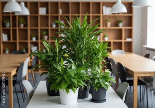 Modern Office Space with Greenery