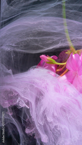 Cuadro en lienzo Pink flower submerged in swirling pastel ink with dark background, with flower,