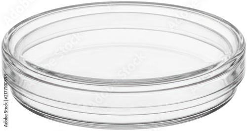 Cuadro en lienzo Clear glass petri dish for laboratory research.