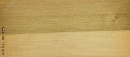 Tulipwood poplar grain wood texture