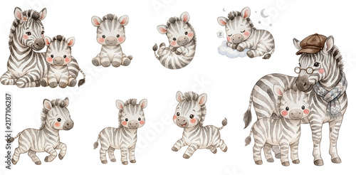 Cute Baby Zebra Family Watercolor Clipart Collection, Safari Animal Nursery PNG Set, Mom and Baby Zebra Illustration for Kids Room Decor and Baby Shower