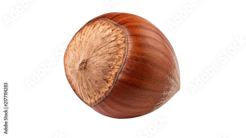 Cuadro en lienzo Single whole hazelnut nut in textured brown shell isolated on transparent background for organic healthy nutrition snack packaging