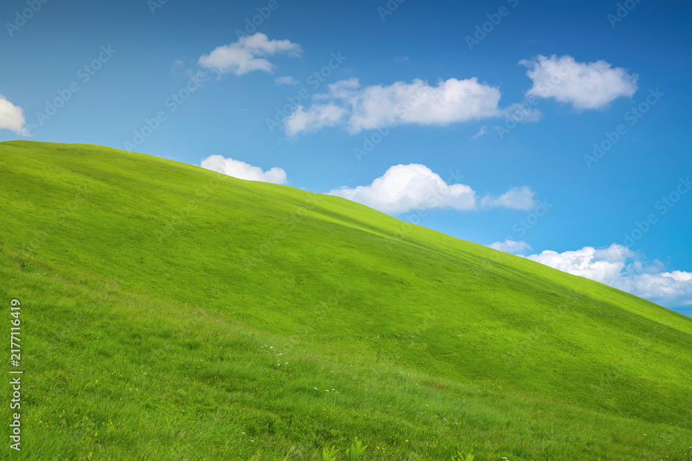 Obraz premium Rolling green pasture under a vibrant blue sky with fluffy white clouds, representing nature, growth, and freedom