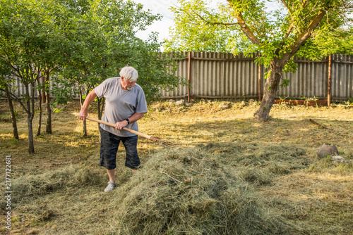 Senior man gathering hay with pitchfork in village garden during summer sunset