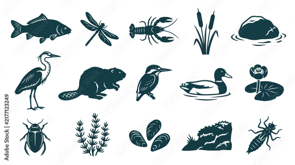 Obraz premium Freshwater Aquatic Wildlife and Nature Glyph Vector Icons Set - Animals, Plants, River Ecosystem Silhouettes