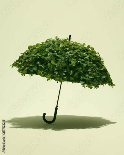 Green leafy umbrella casting shadow on pale background