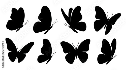 Tapety artystyczne butterfly silhouettes vector