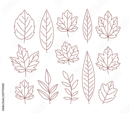 Autumn leaves line art vector illustration set. Hand drawn fall foliage icons including maple, oak, and chestnut leaves on white background for autumn design.