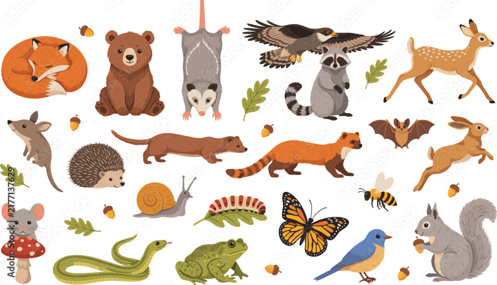 Obraz premium Hand Drawn Woodland Wildlife Collection with Fox, Bear, Deer, Raccoon, Eagle, Hedgehog, Squirrel, Rabbit, Snake, Frog, Butterfly, and Forest Animals