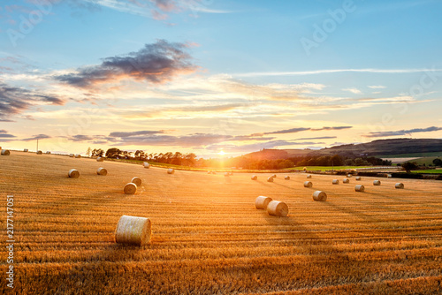 Obraz na plátne Hay bales in golden field with sunset summer background