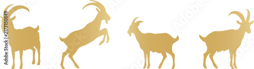 Photography Set of Golden Goat Silhouette 2027 Vector Illustrations for Farm Design