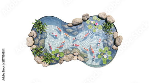 Koi pond top view isolated on transparent background