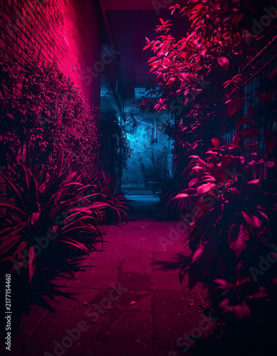 Neon pink alleyway plant foliage leaves blue background