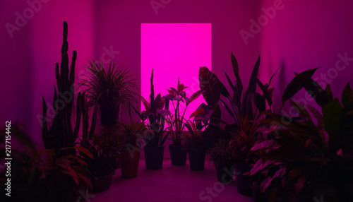 Gothic potted plants dim neon pink room wall