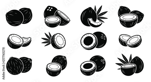 Coconut illustrations black and white vector graphics on a white background