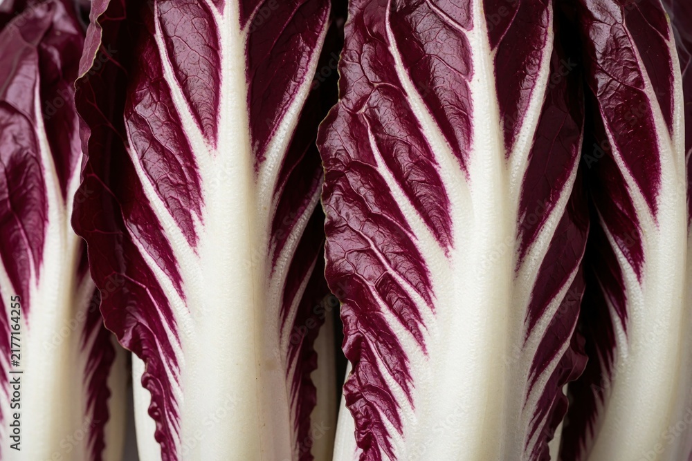 Obraz premium Close up view of radicchio leaves showing deep purple and white patterns. Crisp natural texture presents vibrant colors perfect for food design backdrop.