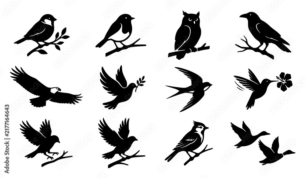 Fototapeta premium Bird Silhouettes Set with Branches, Leaves, and Various Avian Species
