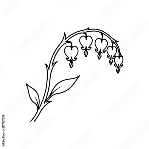 Botanical Line Art of Curved Flowering Stem with Leaves