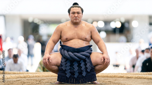 土俵の上で化粧まわしを着用して立ち合いの構えをとる力士
