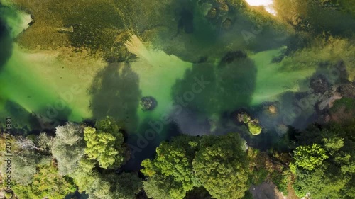 River flowing through trees in untouched nature, aerial drone view. Crystal clear water of the river meandering through a lush forest, view from above. Una River landscape in Bosnia and Herzegovina.