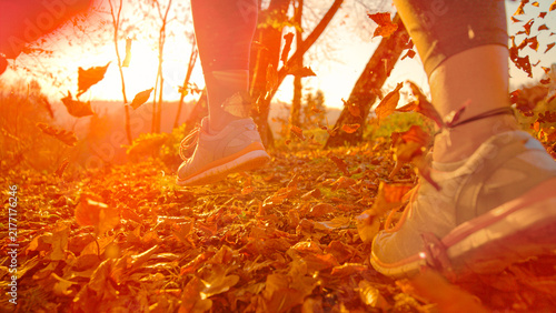 Canvastavla LENS FLARE, DOF, LOW ANGLE, CLOSE UP: Running shoes moving through carpet of rustling fall foliage