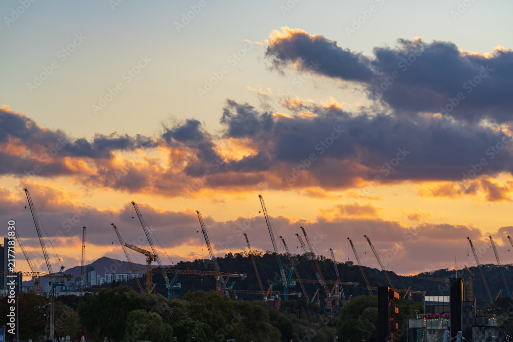 Фотография Construction site with numerous tower cranes under sunset sky