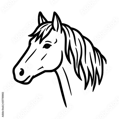 Simple Line Drawing of a Horse Head Profile.