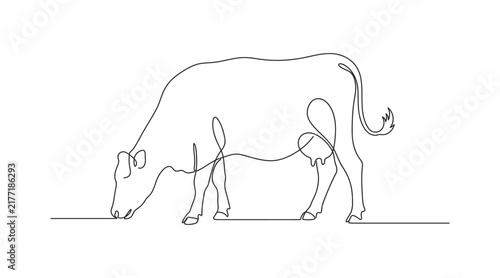 Canvastavla Continuous line drawing of a dairy cow grazing on grass vector graphic with line
