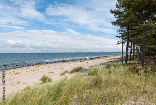 View along beach at Hornbaek, Zealand, Denmark, Europe