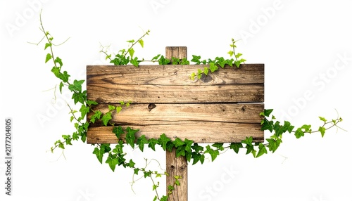Weathered Wooden Sign with Green Vines